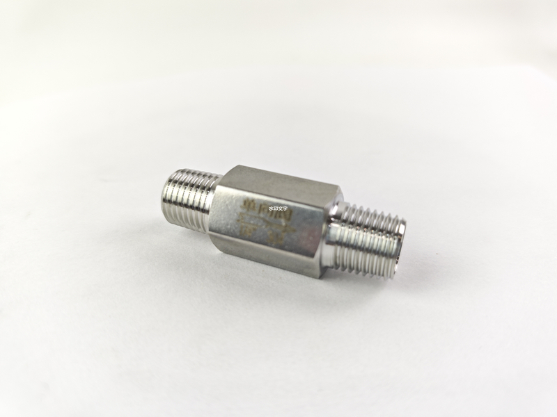 Spring Check Valve