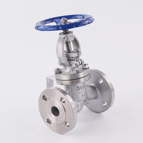 Stainless Steel Flanged Globe Valve (GB Standard)