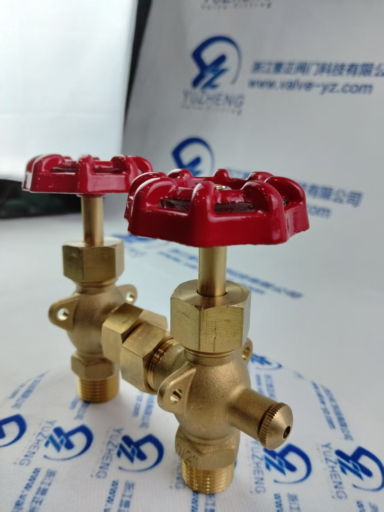 Brass Water Gauge Valve/Cock Valve