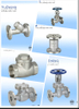 Stainless Steel H14W Swing Check Valve Flanged End
