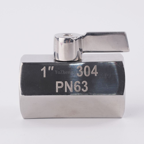 SS304 FF Mini Ball Valve Stainless Steel Handle