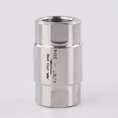 Stainless Steel Female Thread Straight Check Valve