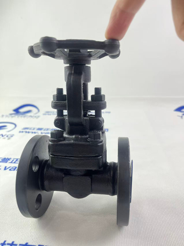 A105 Forged Steel PN16 Manual Flange Gate Valve