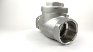 Socket Weld FKM Check Valve