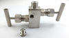 Stainless Steel Two-Valve Manifold with Needle Valve