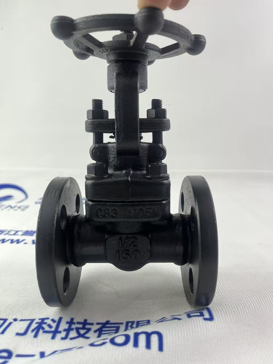 A105 Forged Steel PN16 Manual Flange Gate Valve