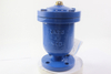 WCB Automatic Air Vent Valve