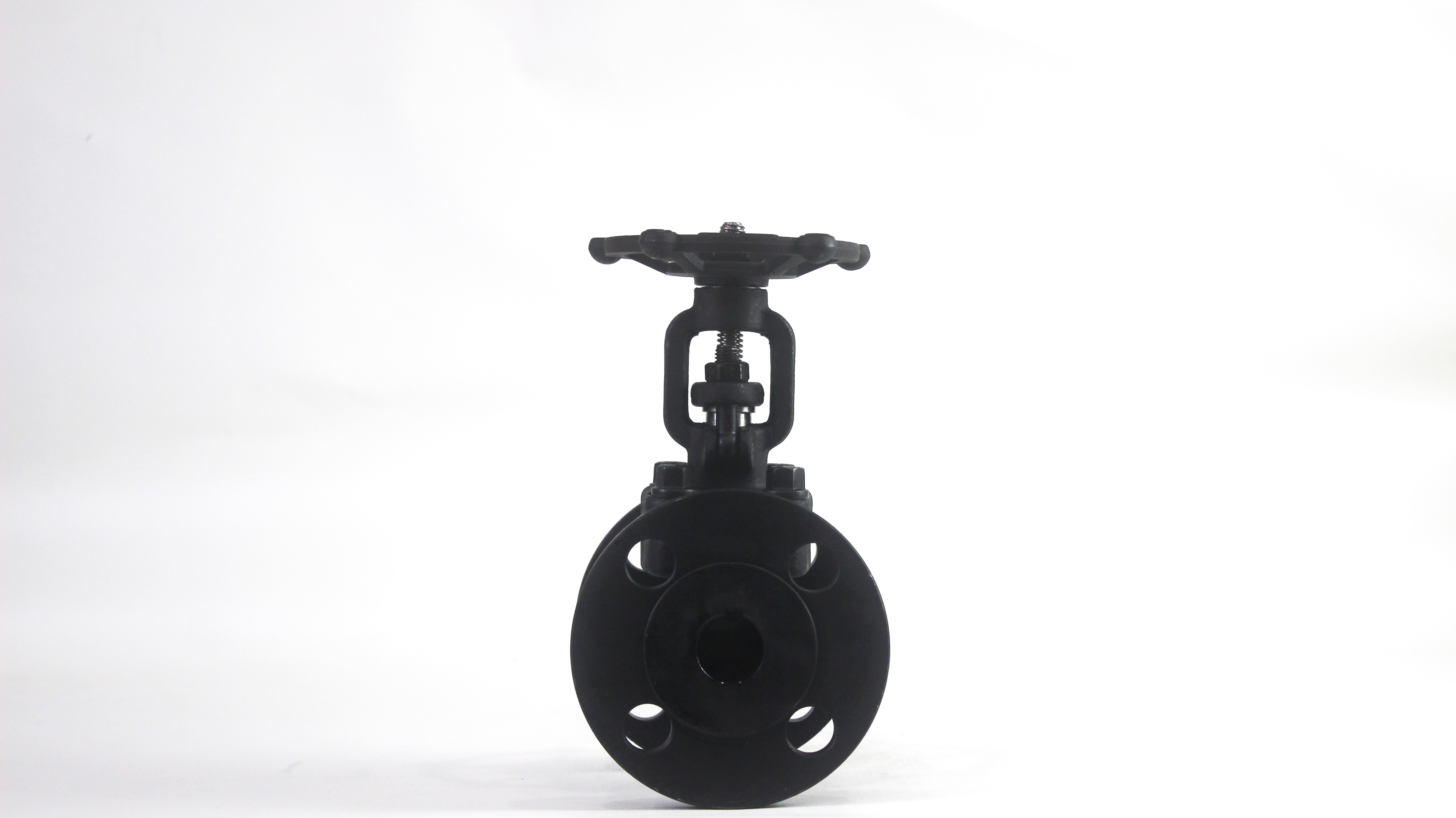 Carbon Steel Flange Gate Valve JIS 10K 