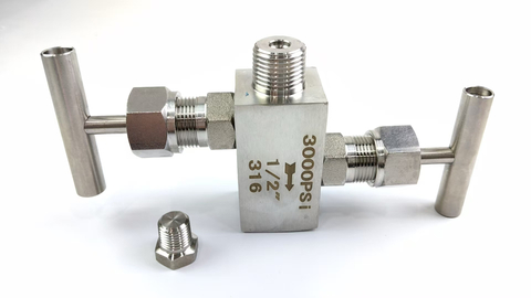 Stainless Steel Two-Valve Manifold with Needle Valve