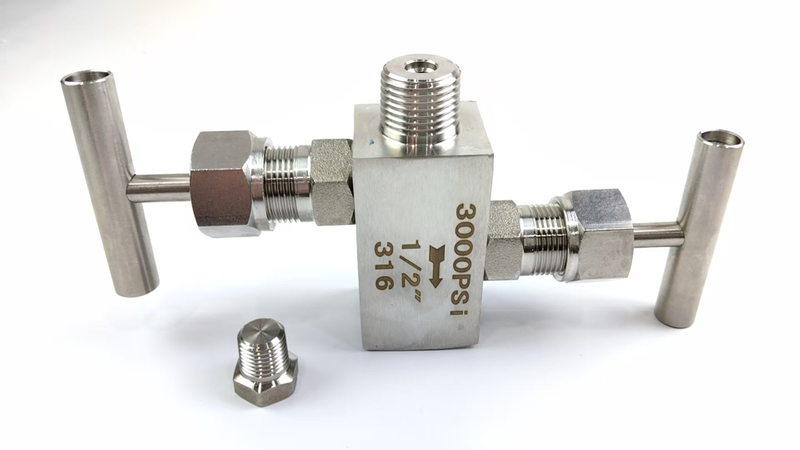 Stainless Steel Two-Valve Manifold with Needle Valve