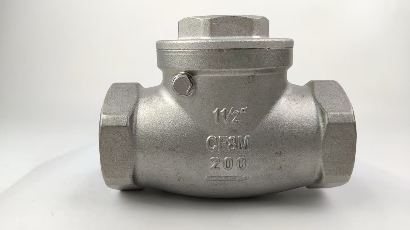 Fluororubber Socket Welding Check Valve Stainless Steel