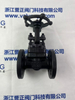 A105 Forged Steel PN16 Manual Flange Gate Valve
