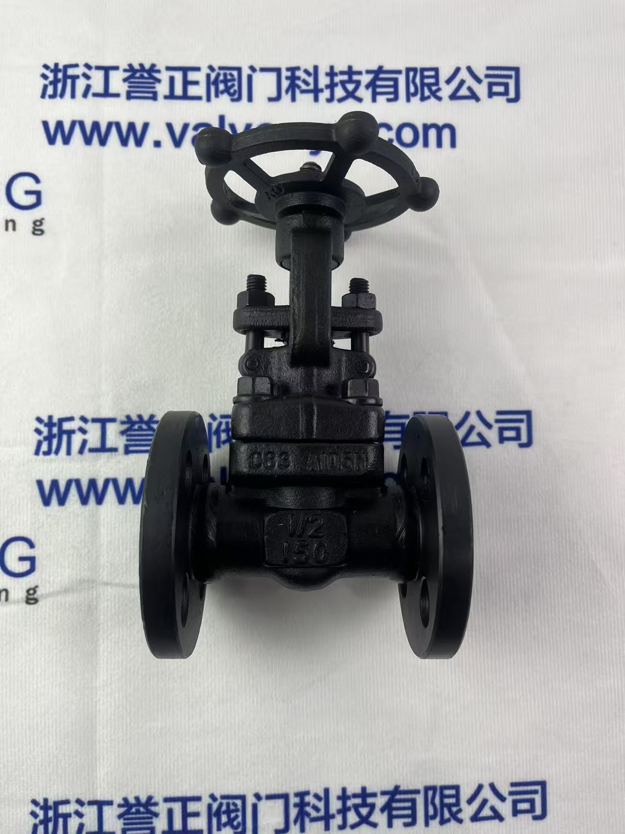 A105 Forged Steel PN16 Manual Flange Gate Valve