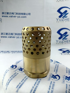 Brass Foot Valve with Female Threads