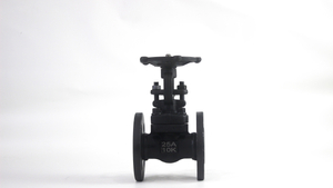 Carbon Steel Flange Gate Valve JIS 10K 