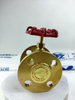 Brass Flange Gate Valve