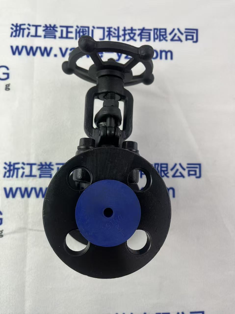 A105 Forged Steel PN16 Manual Flange Gate Valve