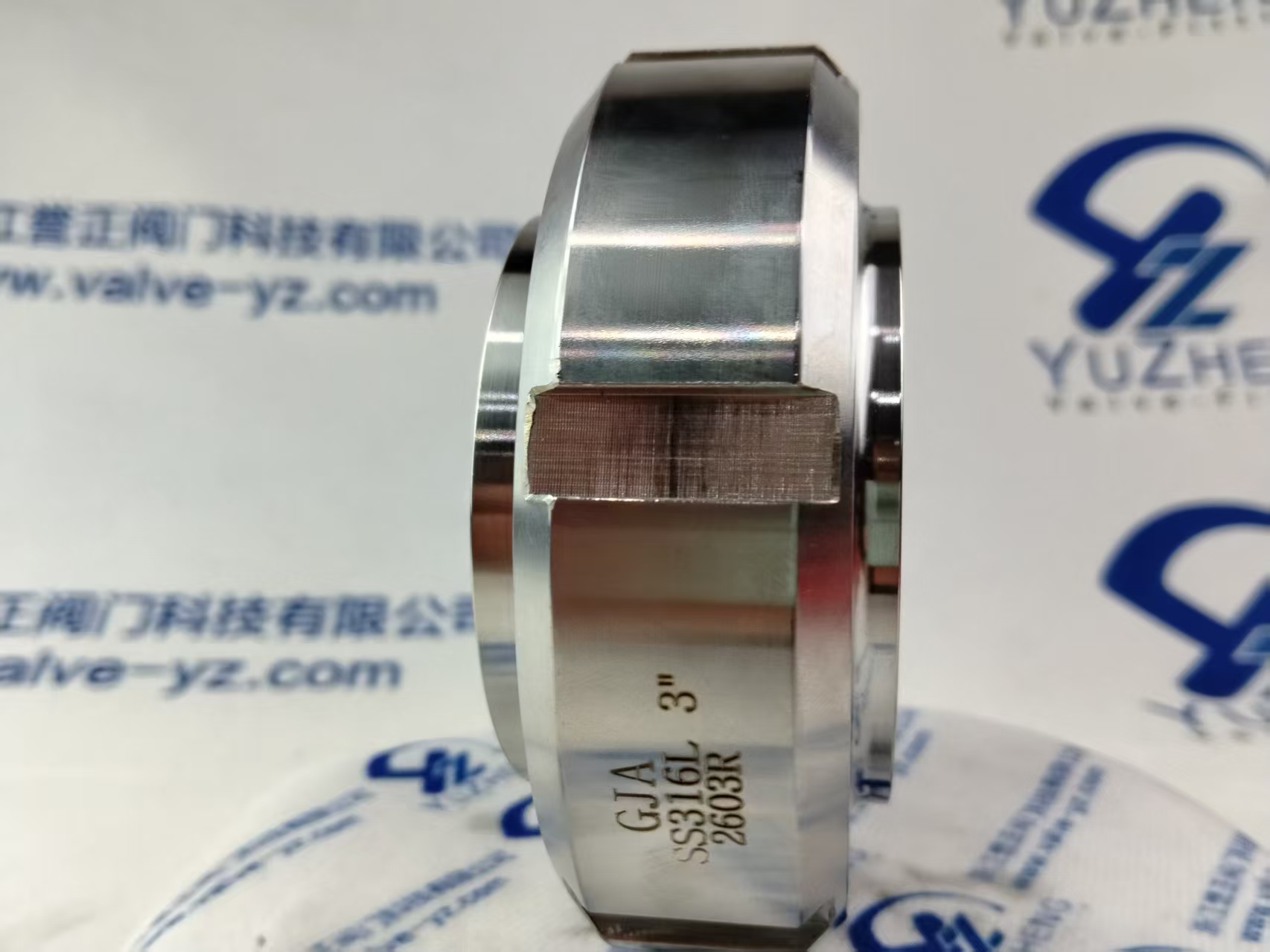 Sanitary Stainless Steel Union / DIN Sanitary Union