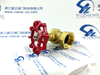 Brass Female Thread Globe Valve