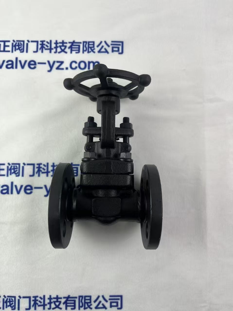 A105 Forged Steel PN16 Manual Flange Gate Valve