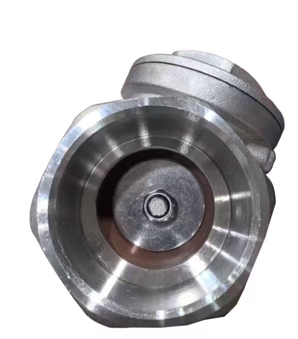 Socket Weld FKM Check Valve