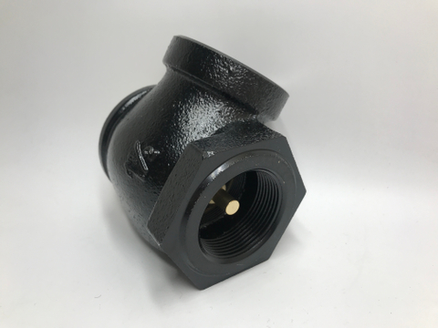 Angle Check Valve Cast Iron