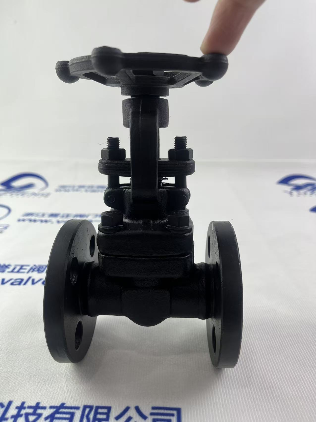 A105 Forged Steel PN16 Manual Flange Gate Valve