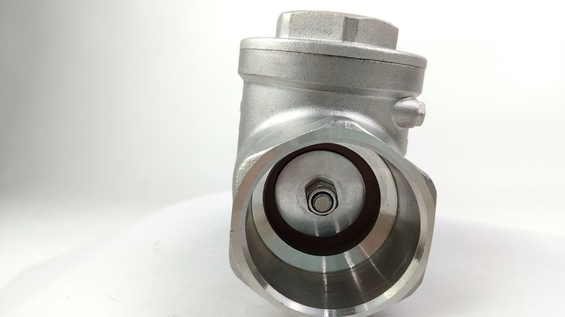 Socket Weld FKM Check Valve