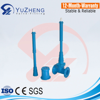 SS Gate Valve with Extension Spindle