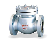 Stainless Steel Flanged H14W Swing Check Valve